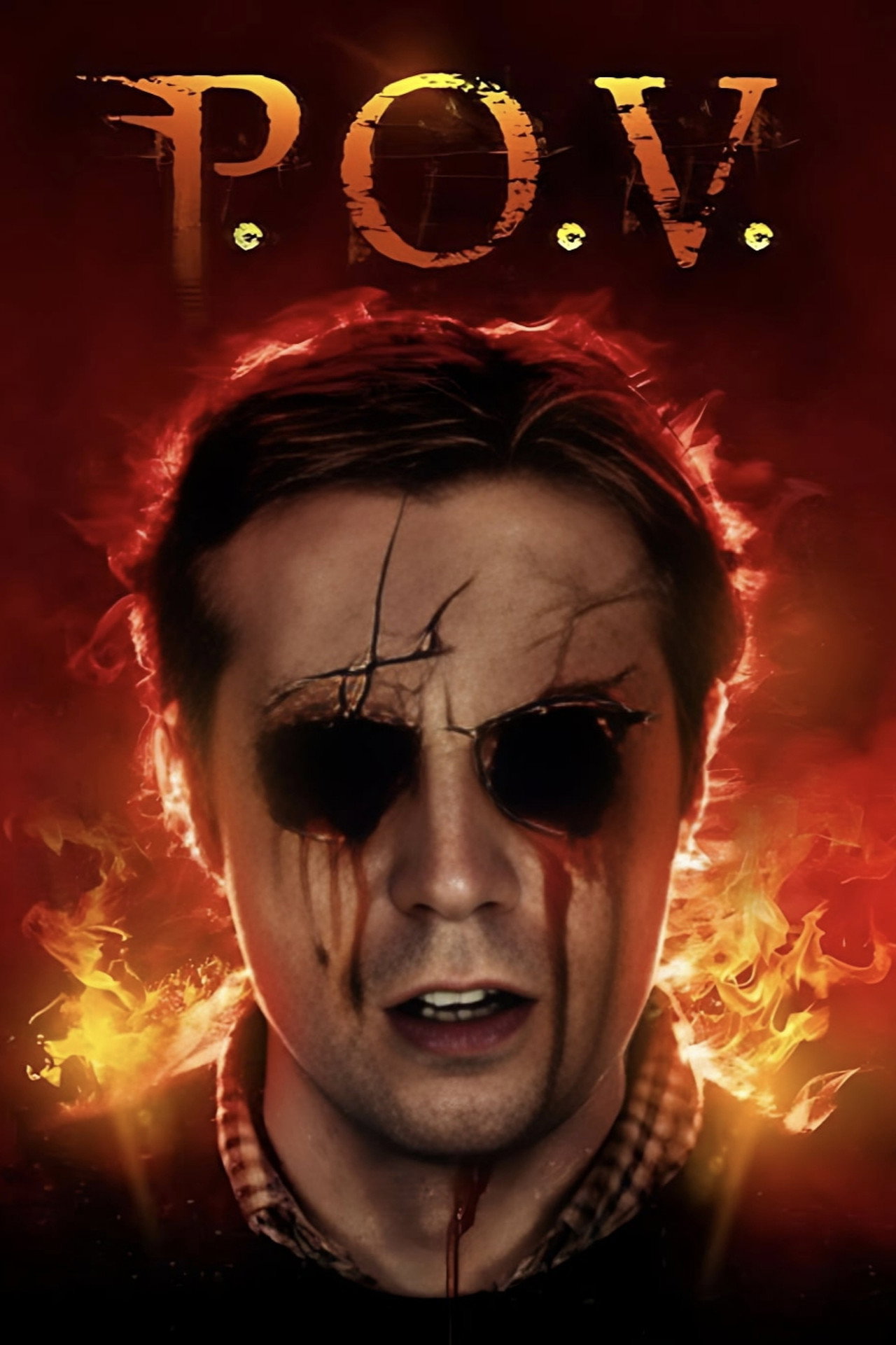 P.O.V