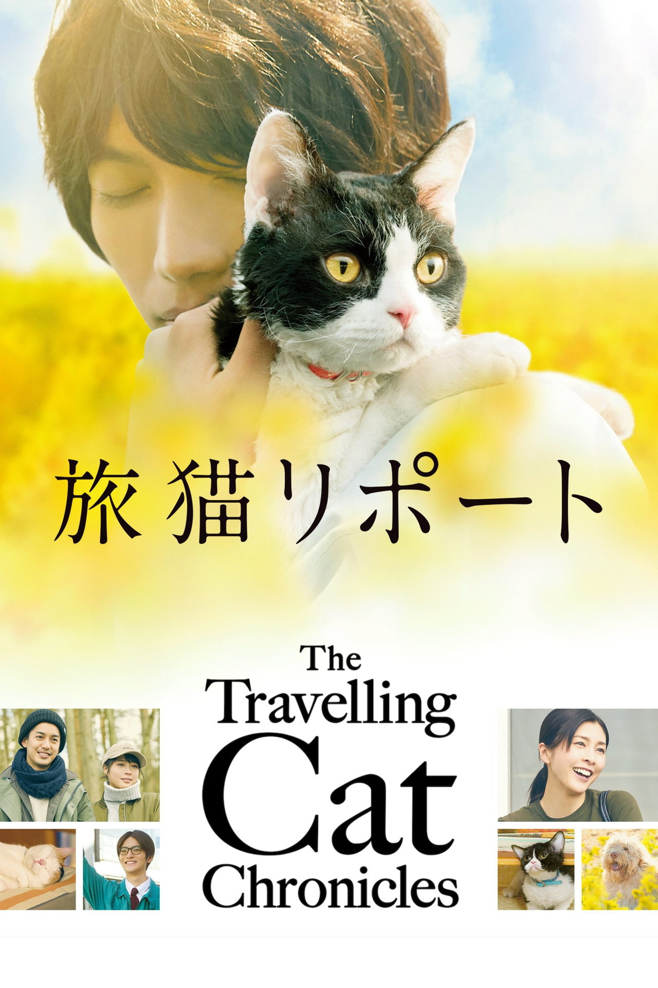 The Travelling Cat Chronicles