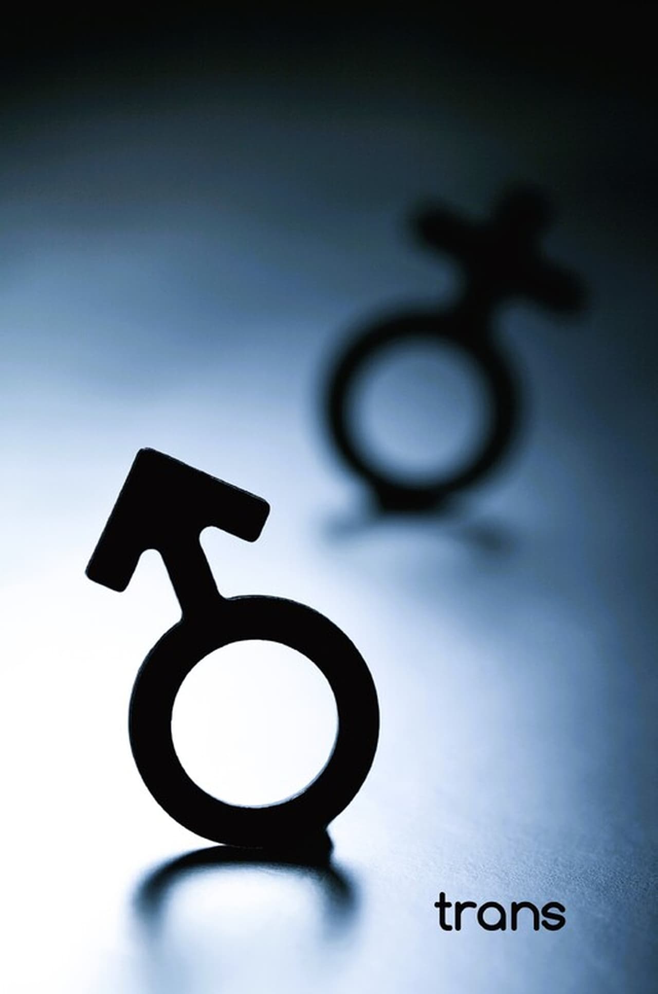 Trans poster