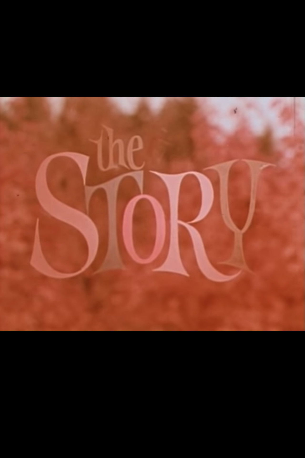 The Story Backdrop