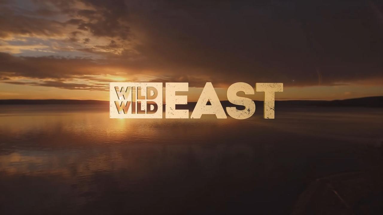 Wild Wild East background