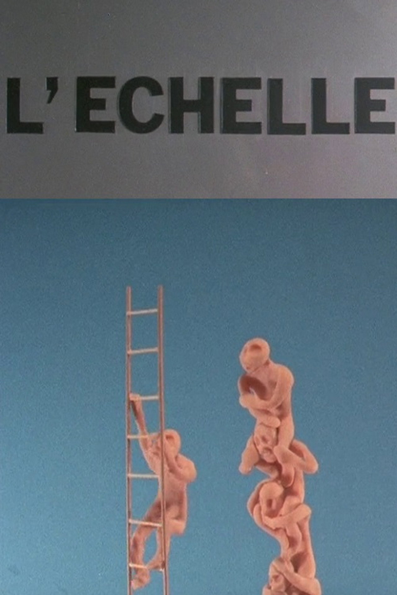 Scale
