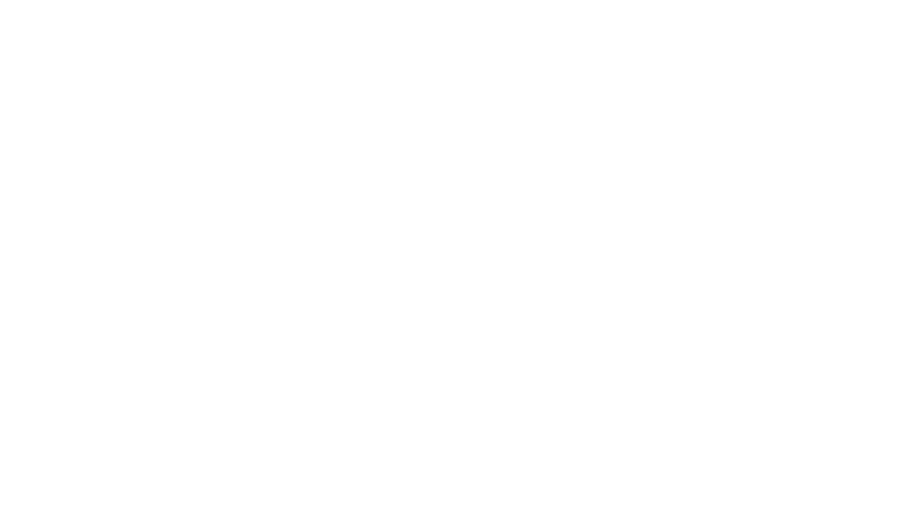The Blind Shot