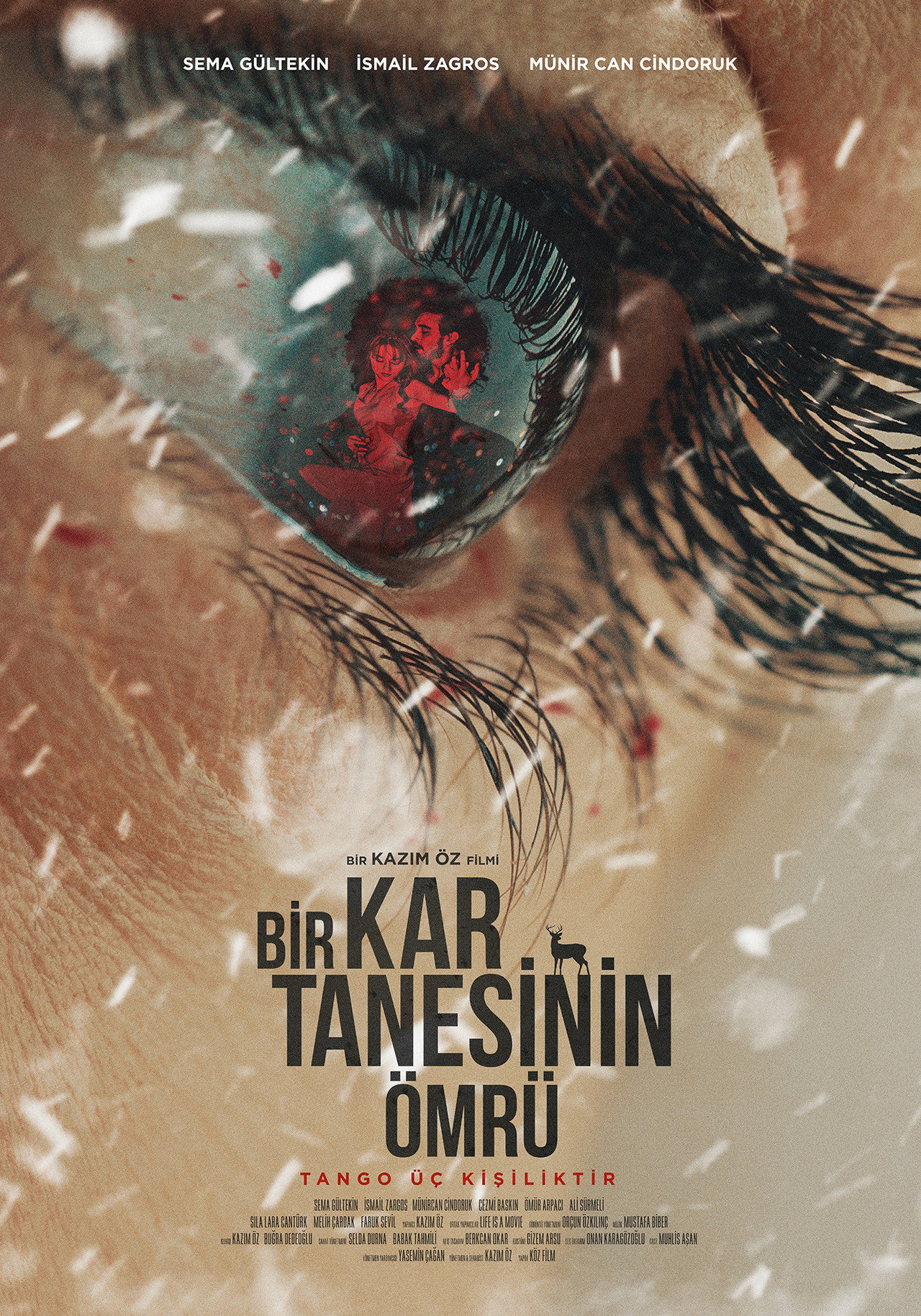 Bir Kar Tanesinin Ömrü filmaffisch