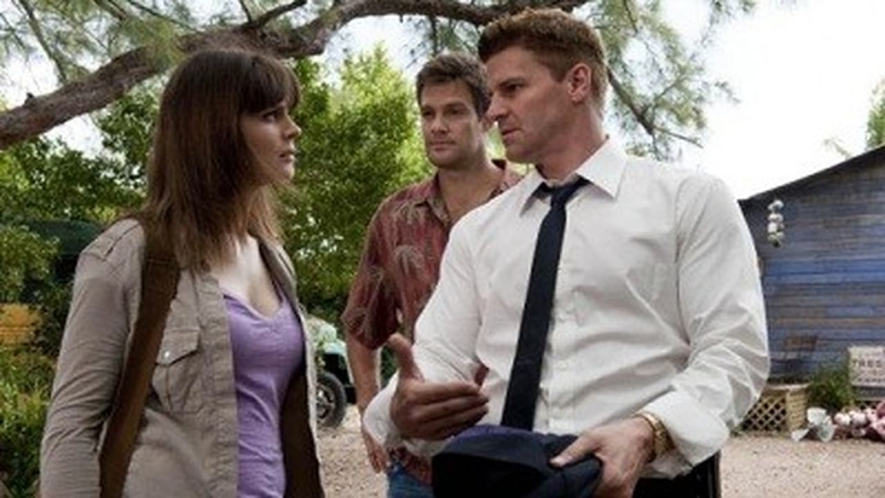 Bones - Season 6 Episode 19 : The Finder