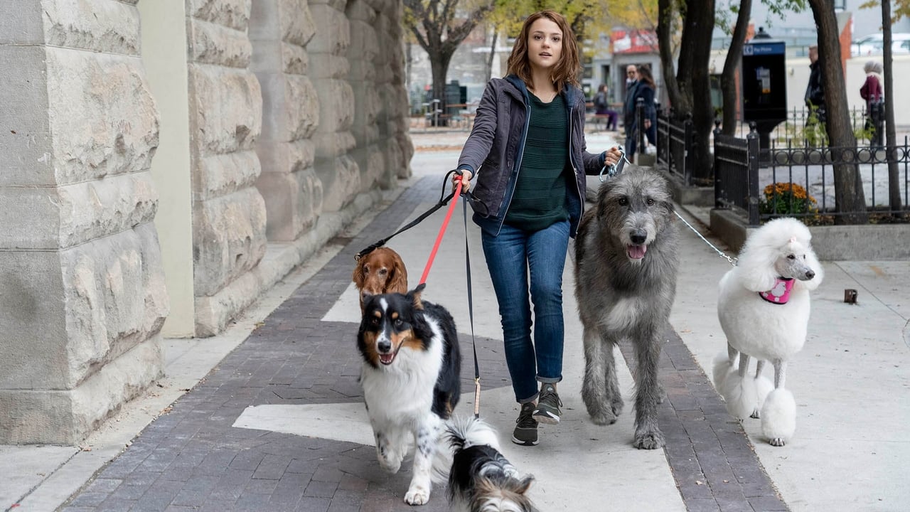 Cast and Crew of A Dog's Journey