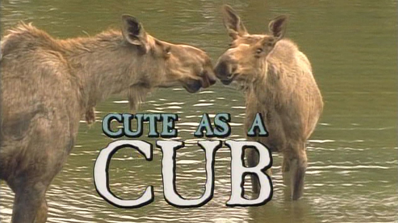 Marty Stouffer's Wild America — Épisode 8