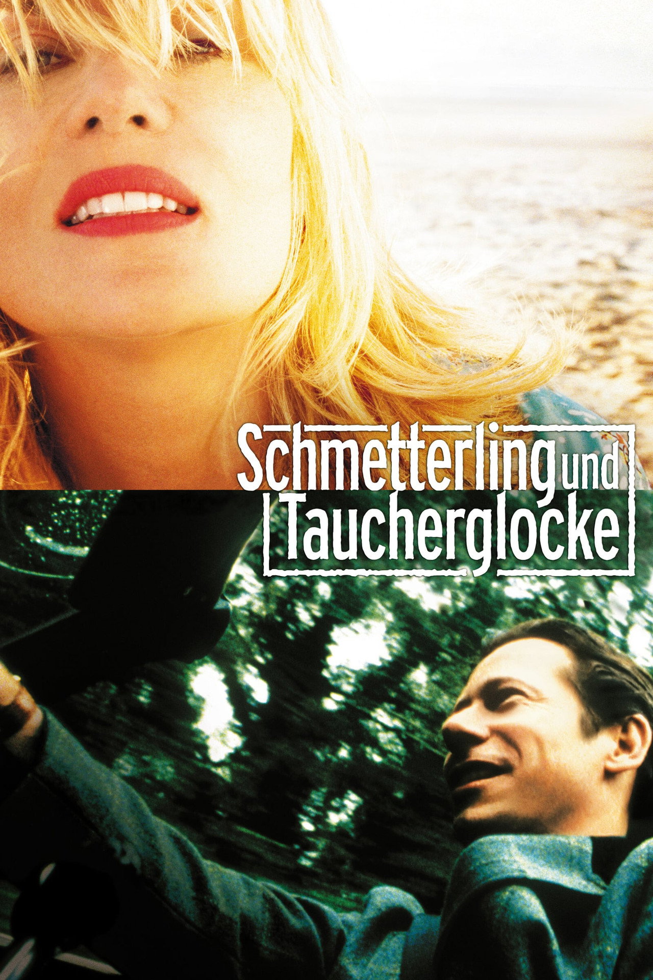 Kelebek ve Dalgıç Poster