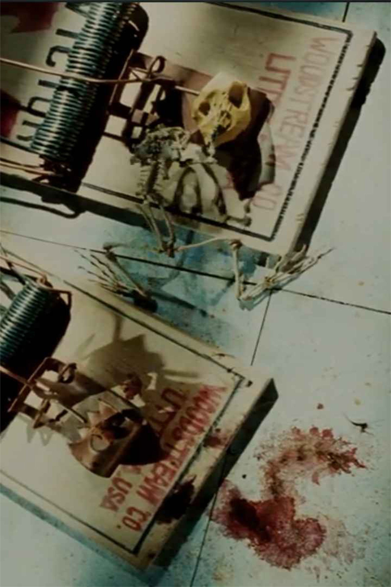Frog Skeleton filmaffisch