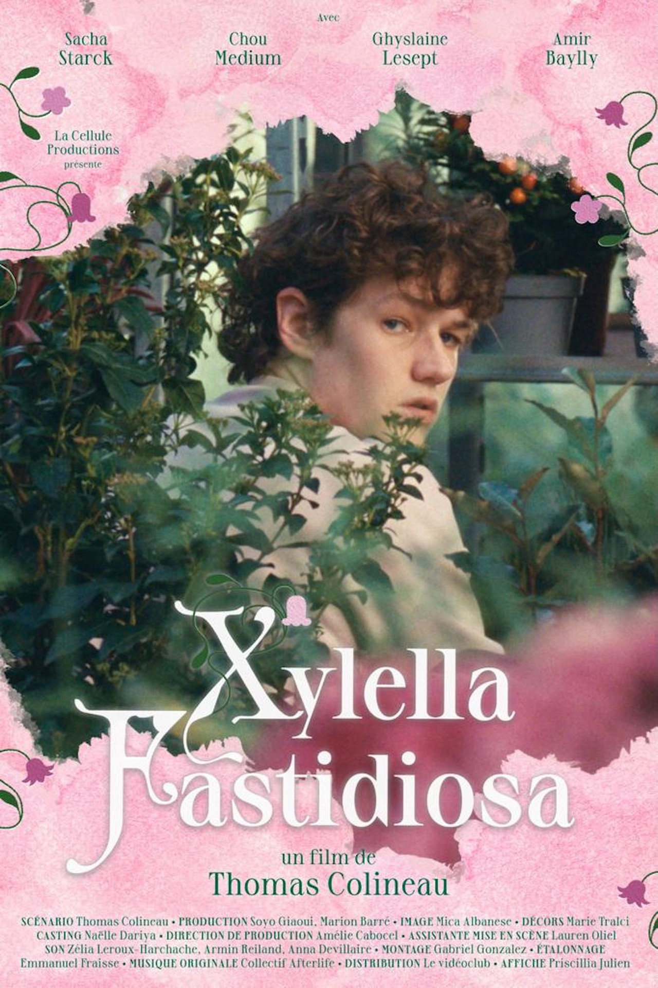 Xylella Fastidiosa filmaffisch