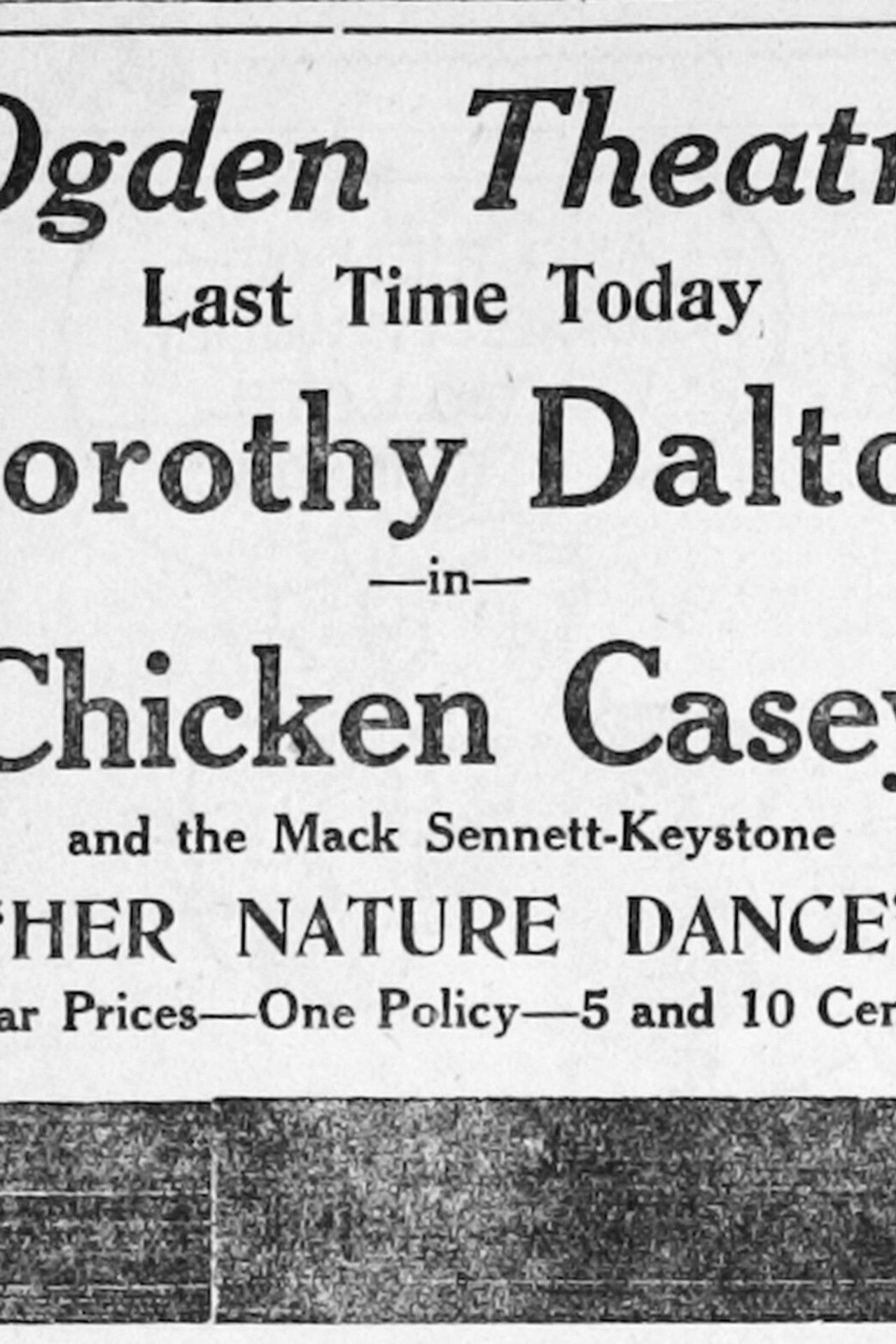 Chicken Casey Backdrop