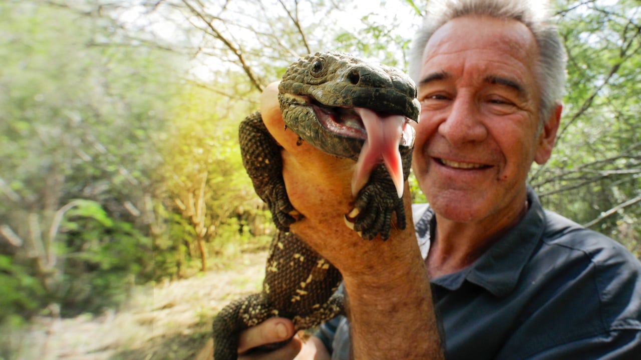 Wild Central America background