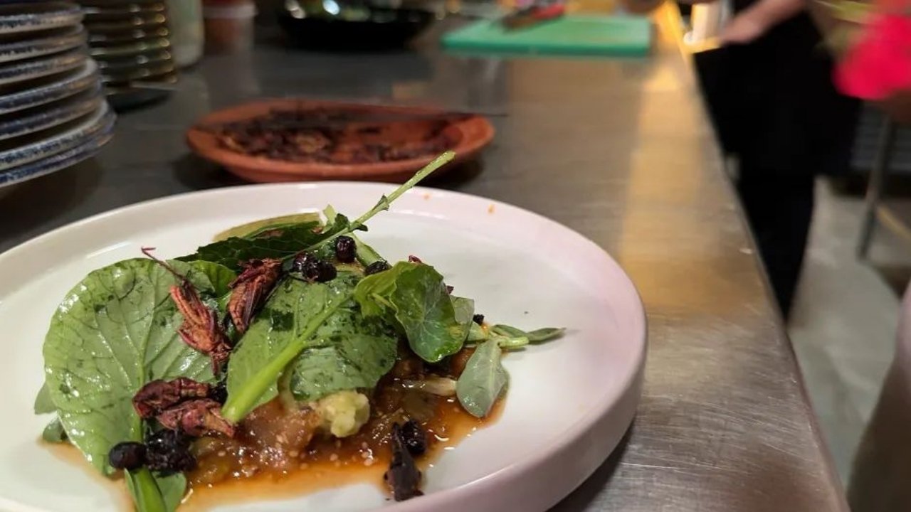 Voyage en cuisine - Season 1 Episode 33 : Episode 33