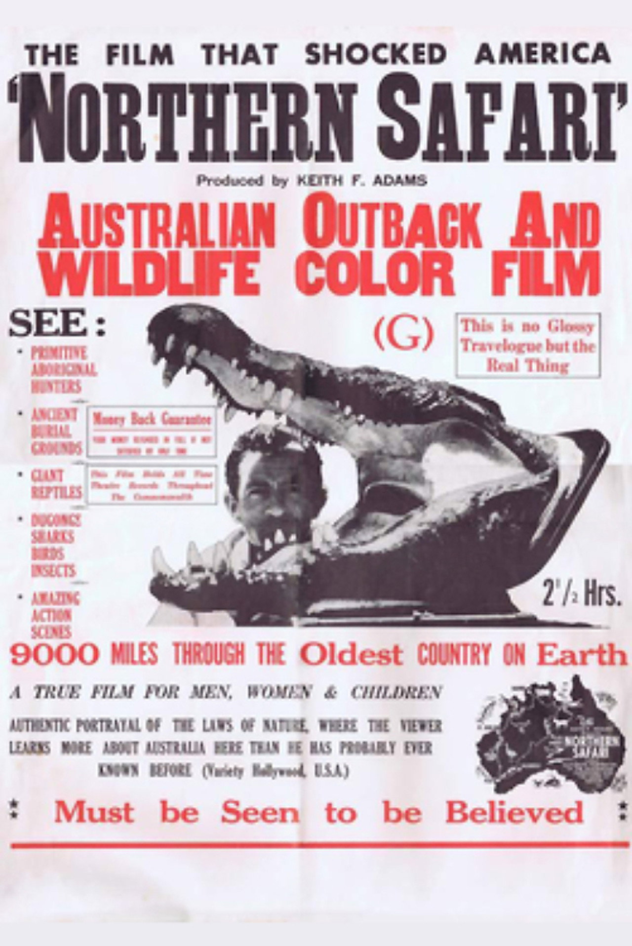 Northern Safari