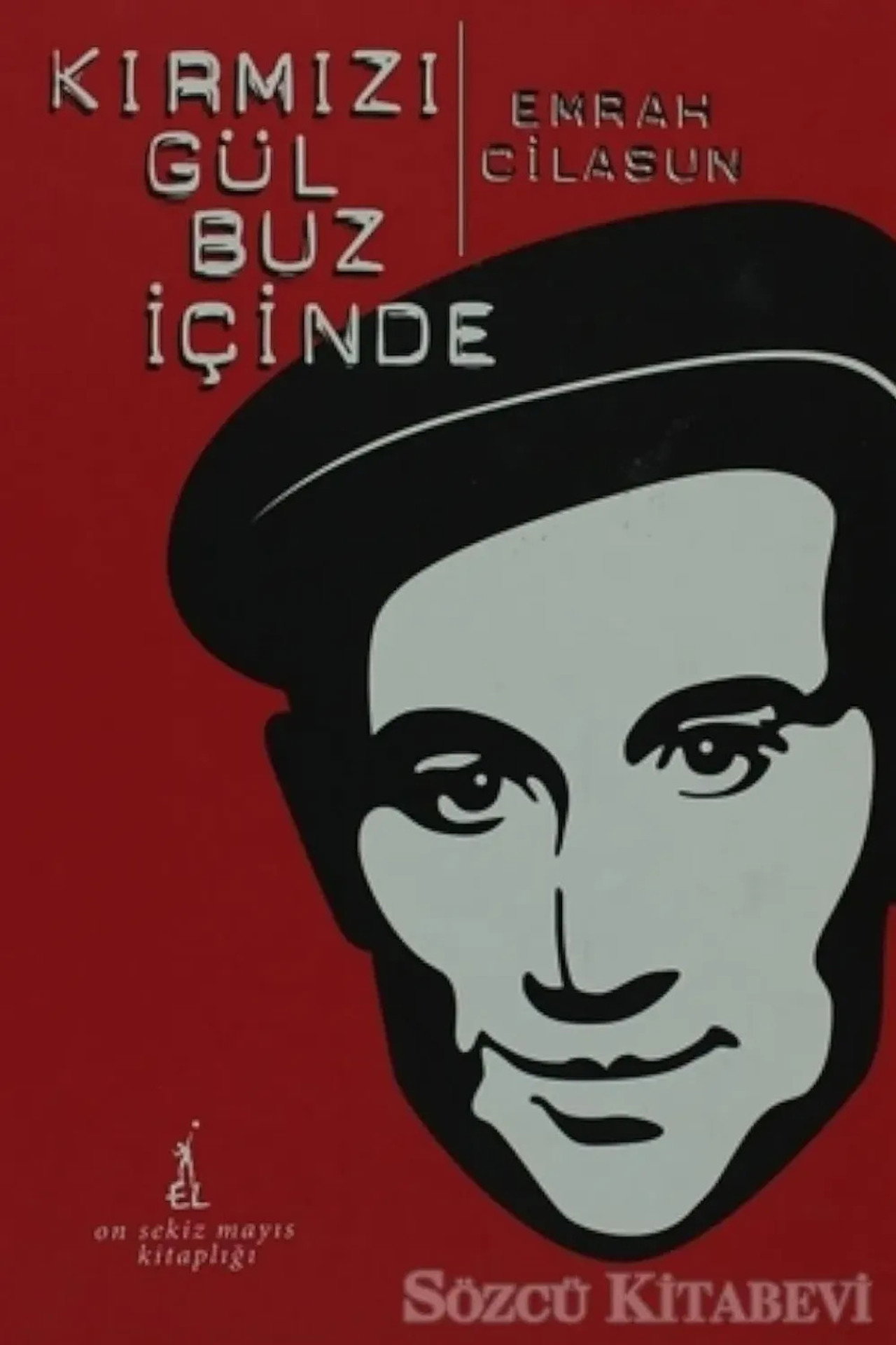 Kırmızı Gül Buz İçinde