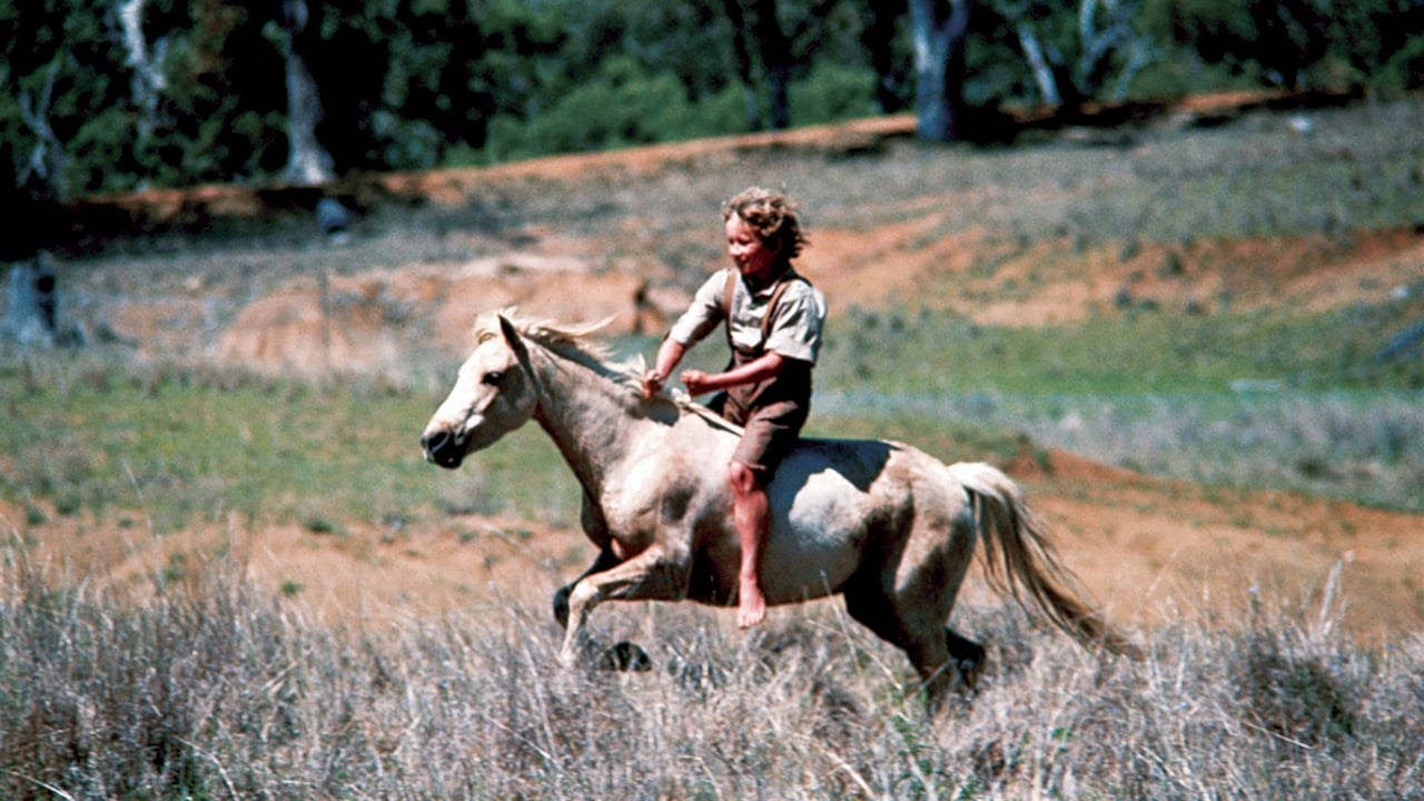 Scen från Ride a Wild Pony