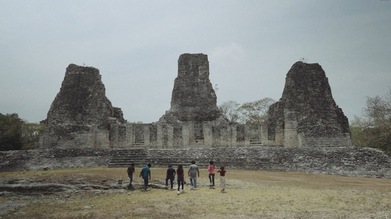 The Mayan Forest: When a Tapir Gazes Upon You still 4