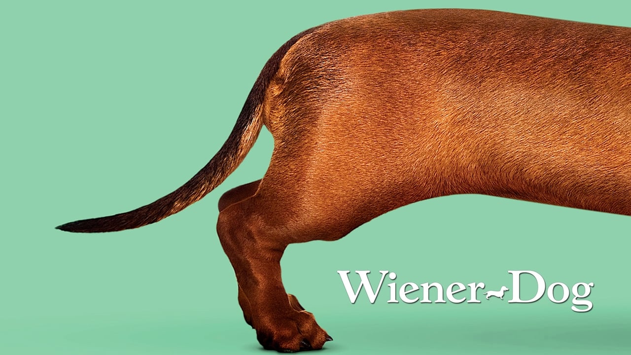 Wiener-Dog background