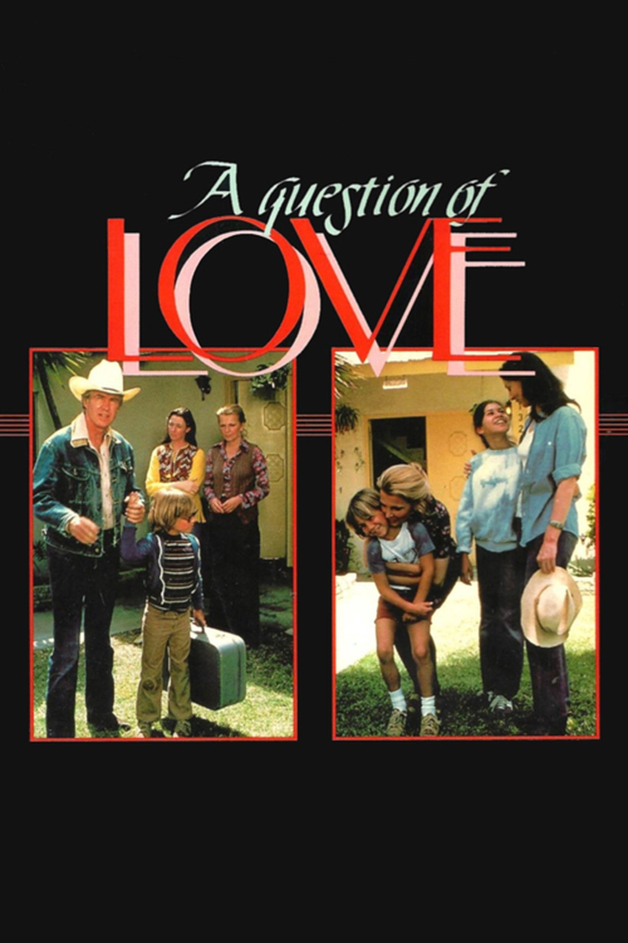 مشاهدة فيلم A Question of Love مترجم بدون اعلانات - بوستر