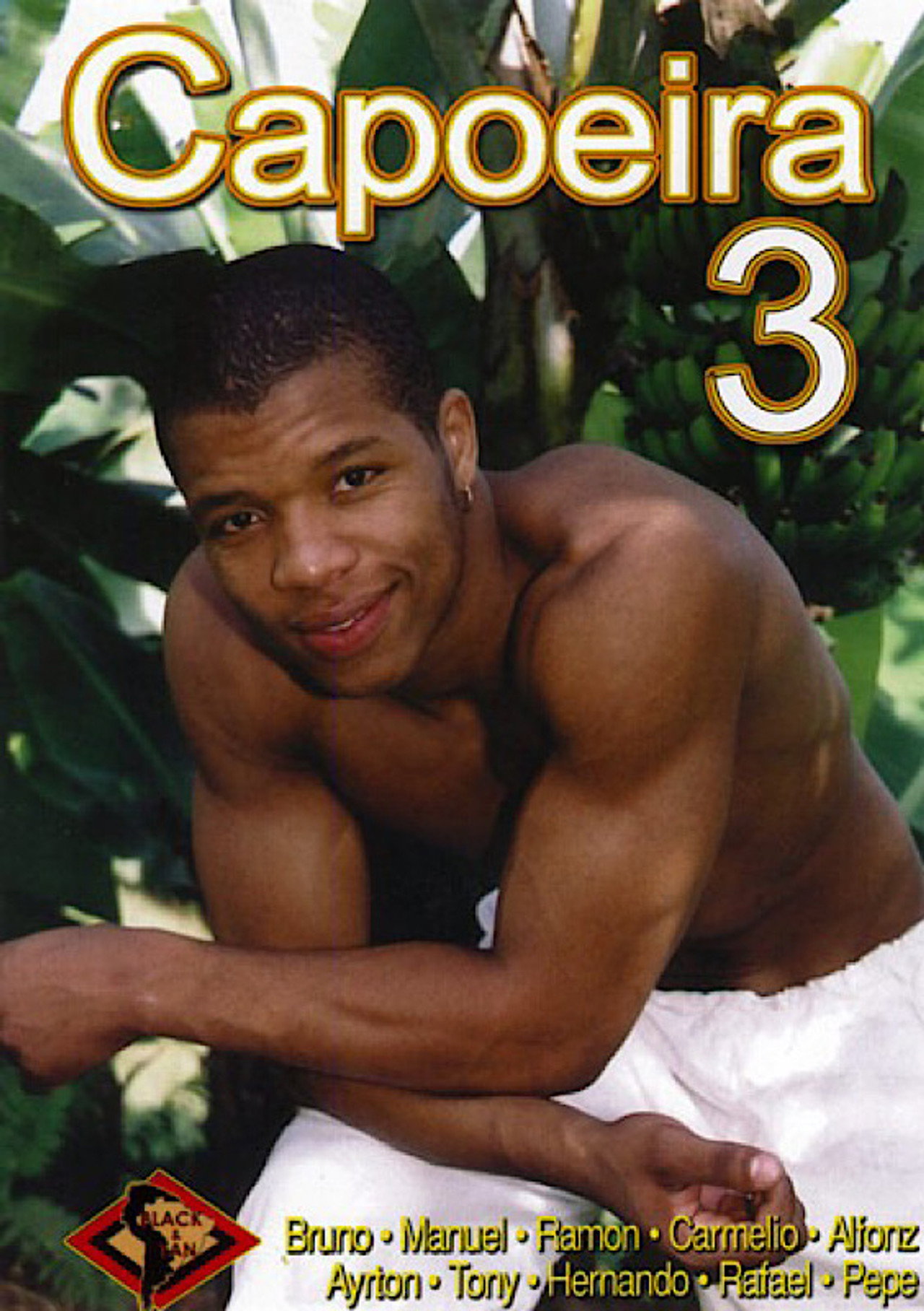Capoeira 3 filmaffisch