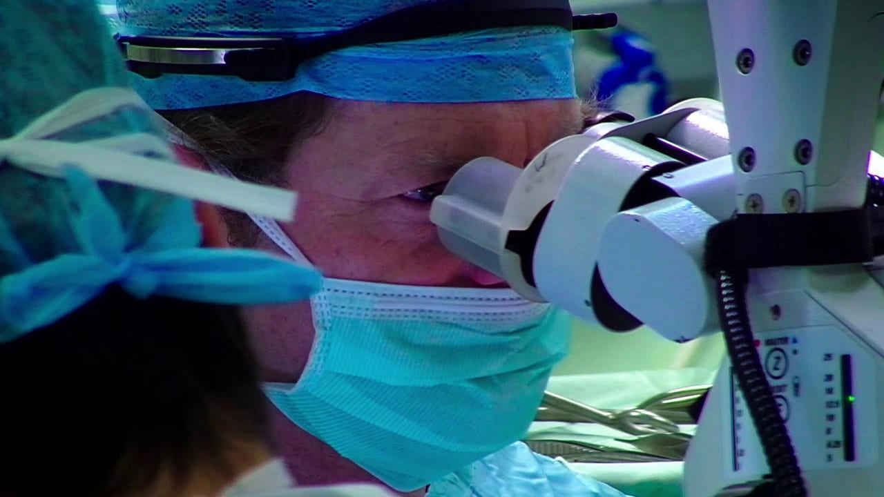 Surgeons：At the Edge of Life - Season 1 Episode 1 : The Longest Day