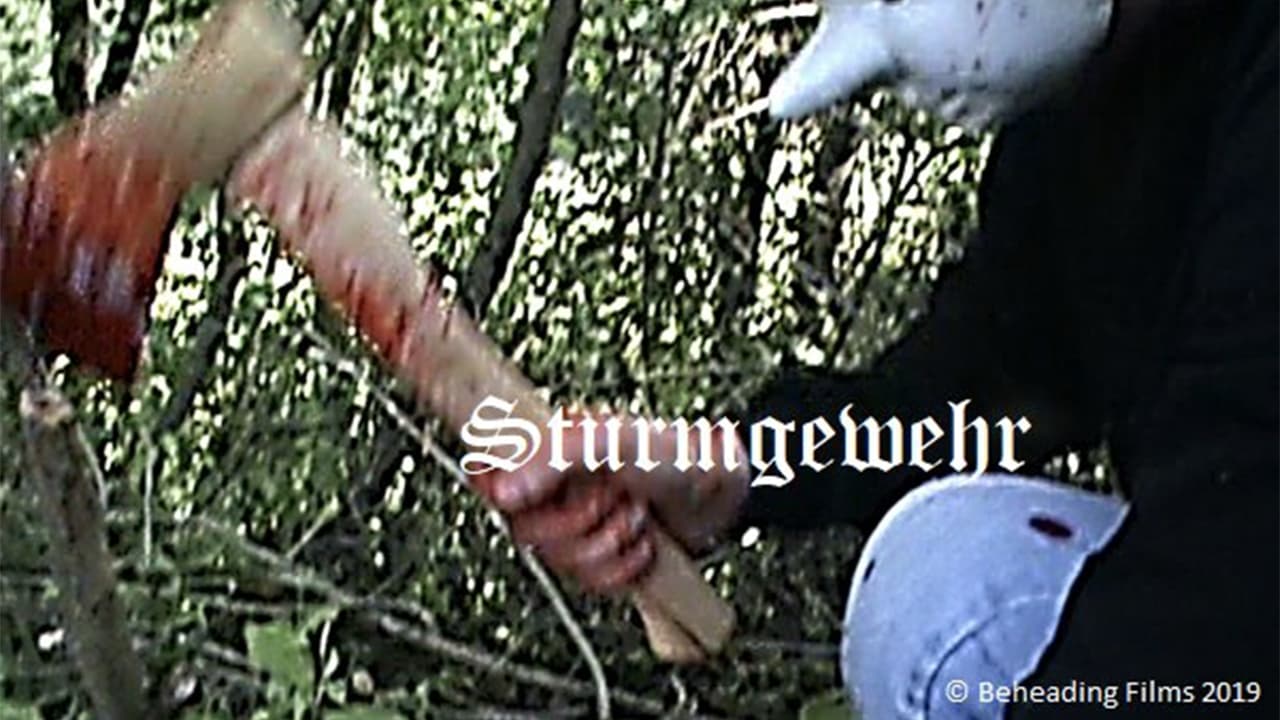 Sturmgewehr (2019)