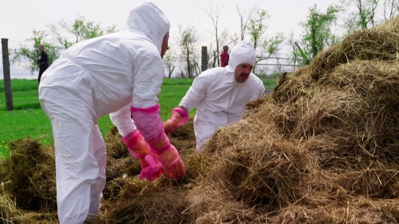 The Amazing Race Canada - Season 10 Episode 8 : Manure Time Baby!