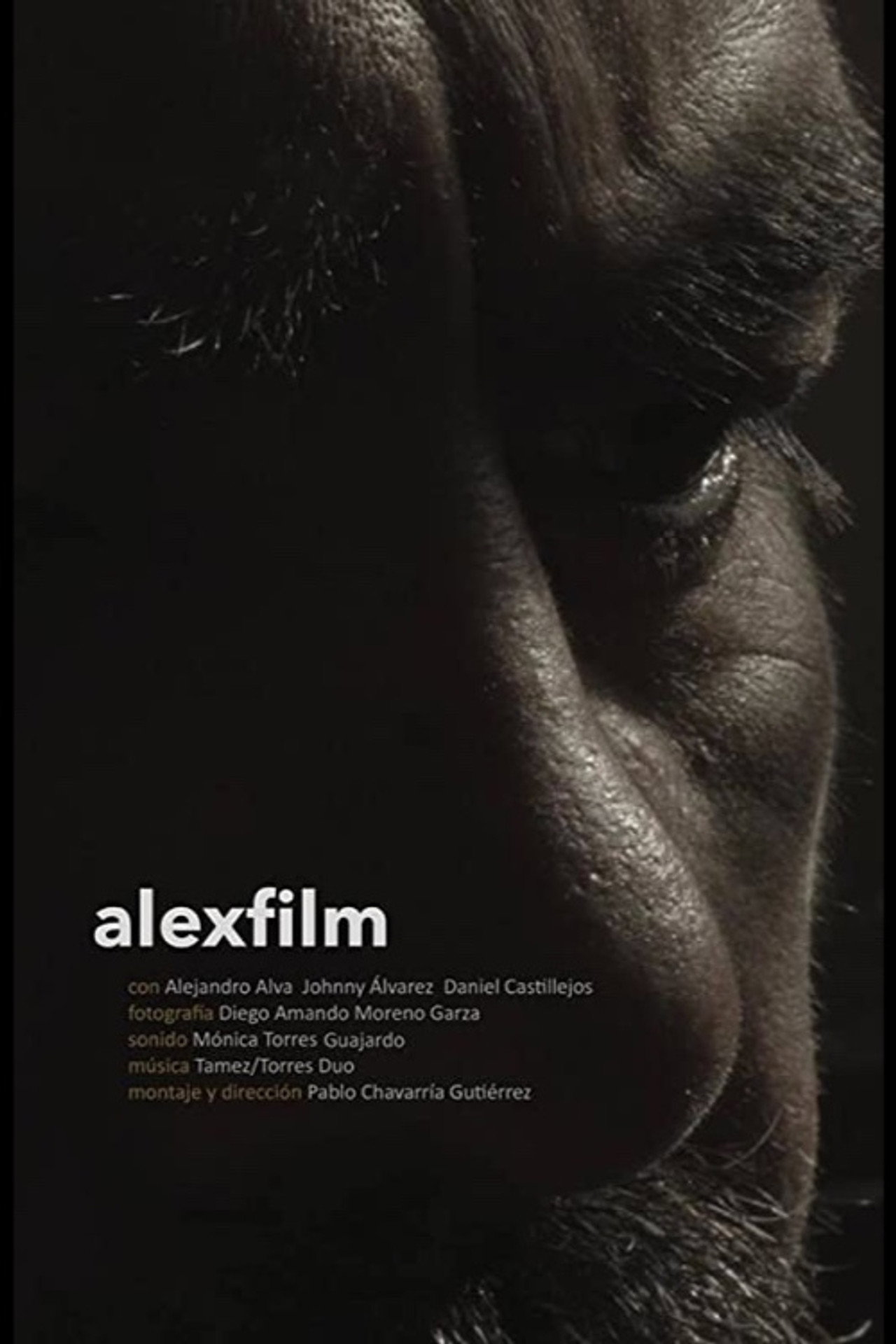 Alexfilm filmaffisch