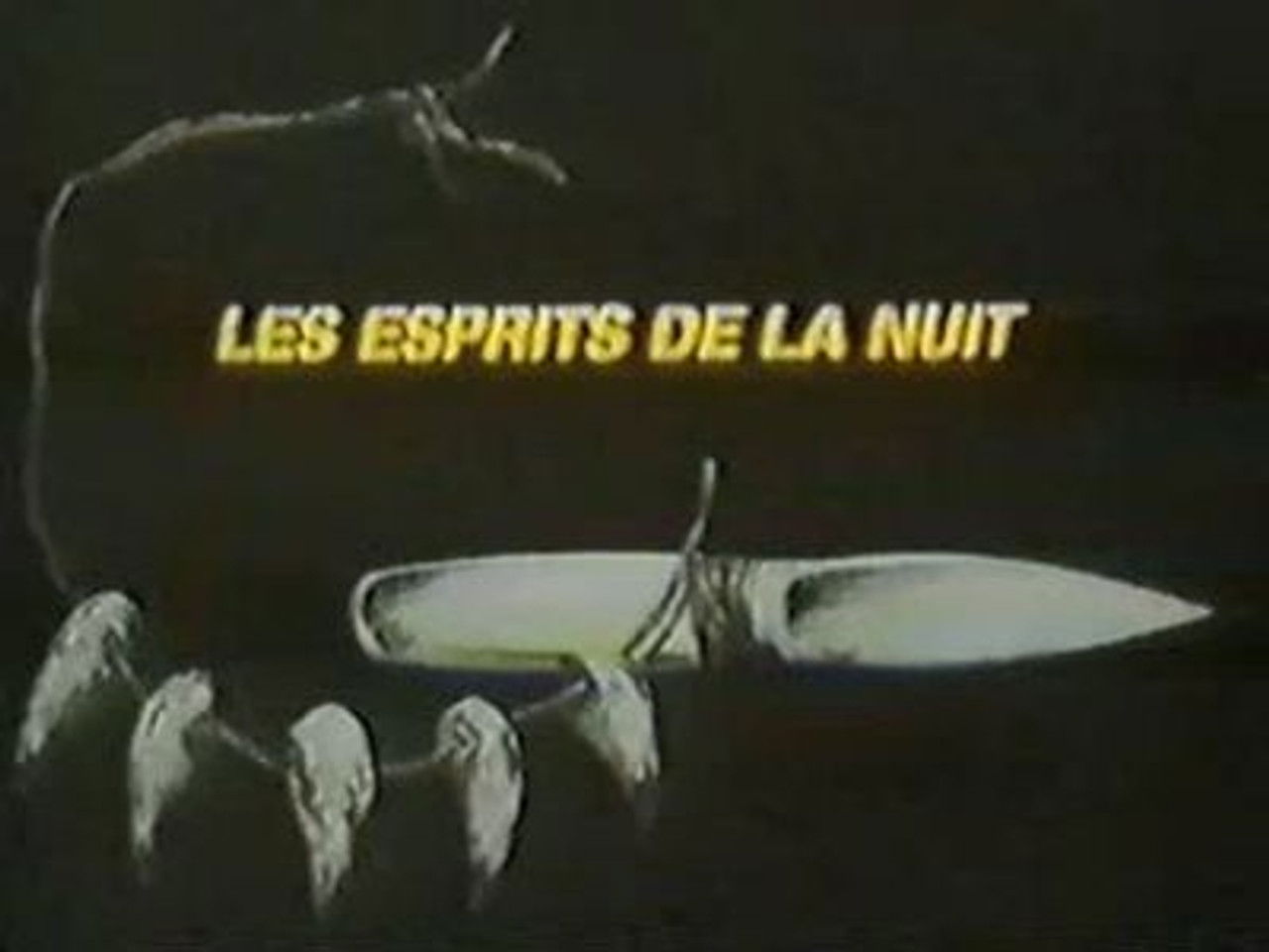 Rahan, fils des ages farouches — Les esprits de la nuit