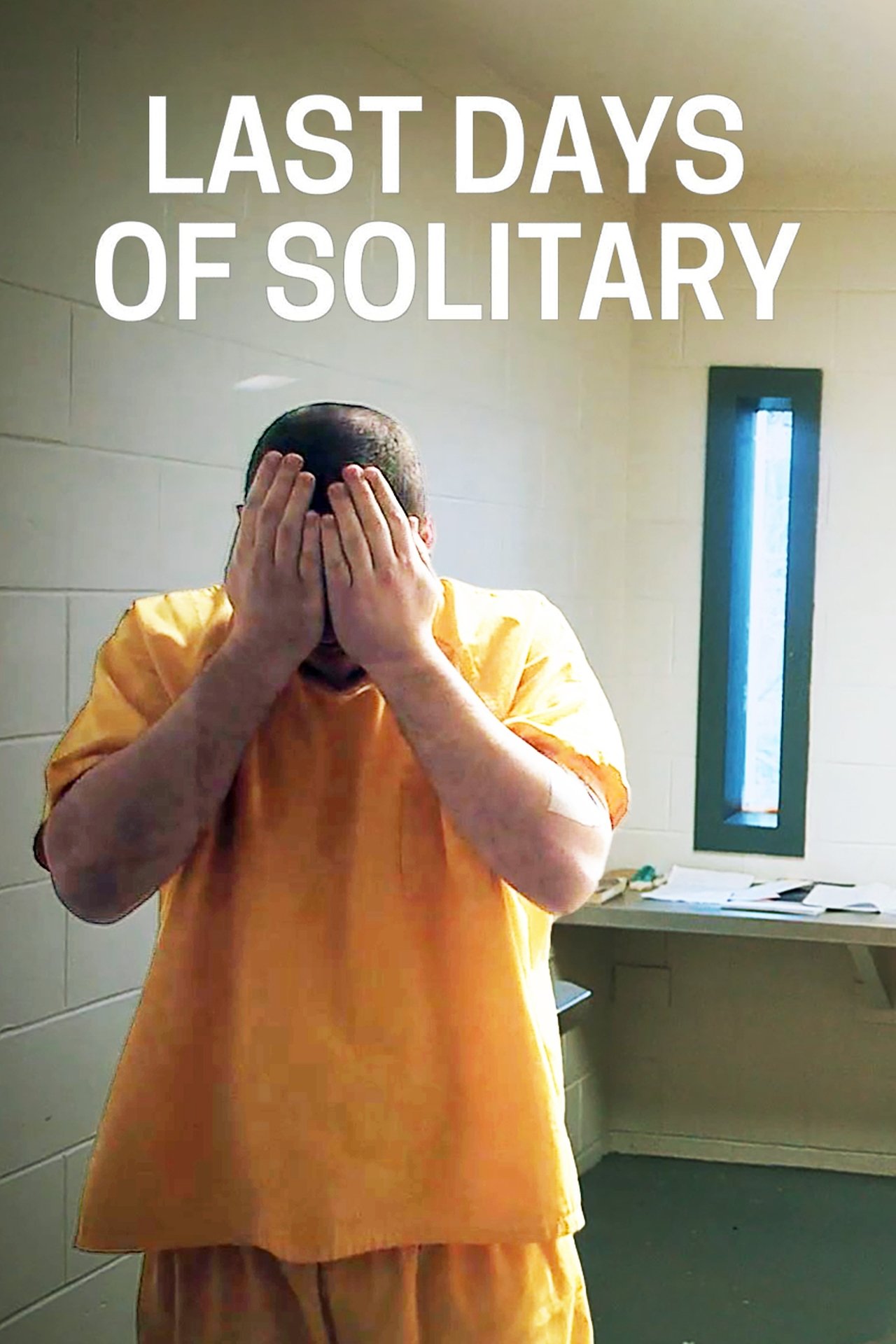 Last Days of Solitary