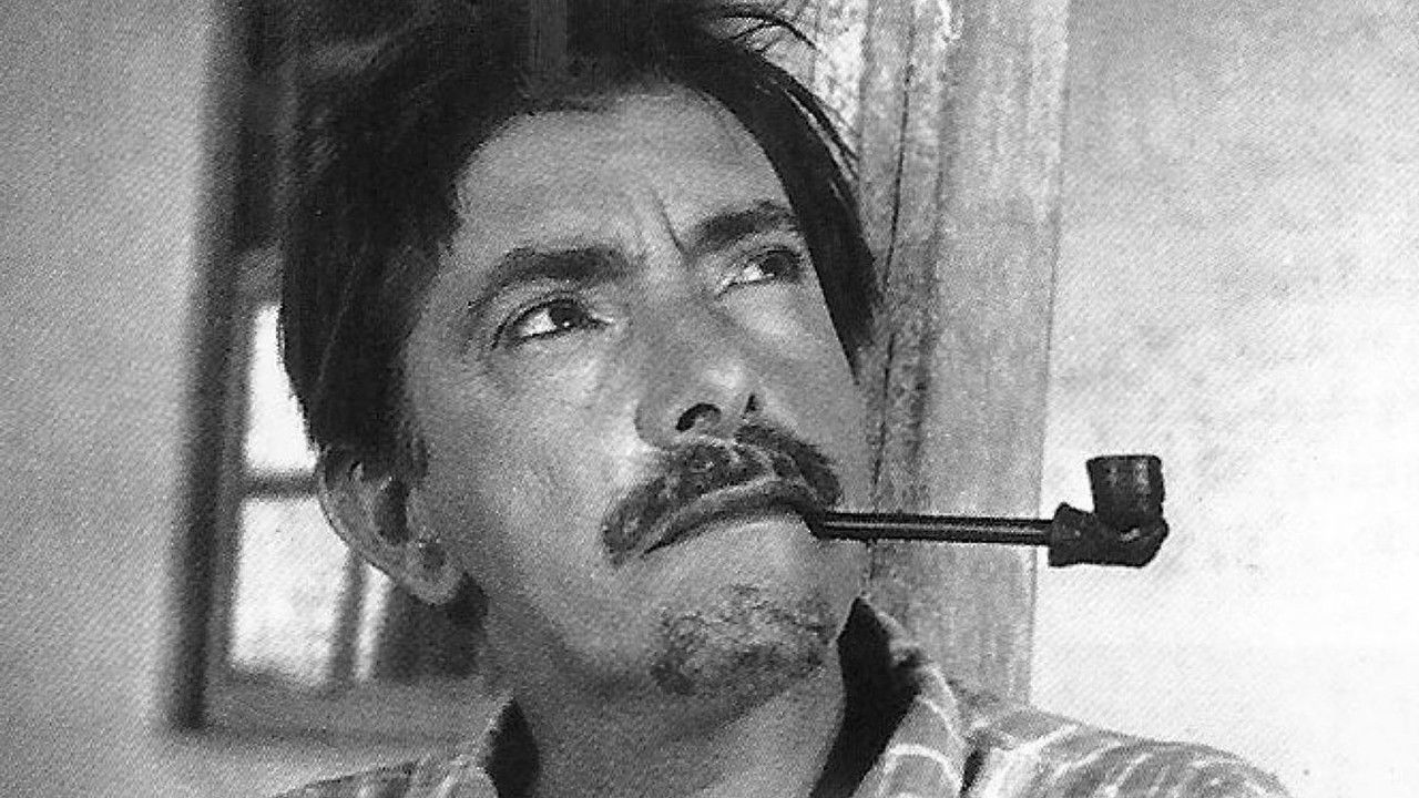 Mazzaropi Collection