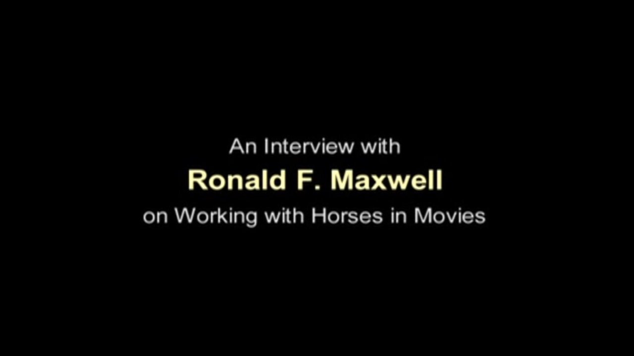 Working with Horses in Movies