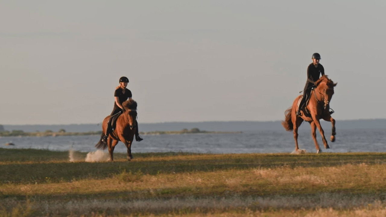 Svenska bönder — Épisode 5