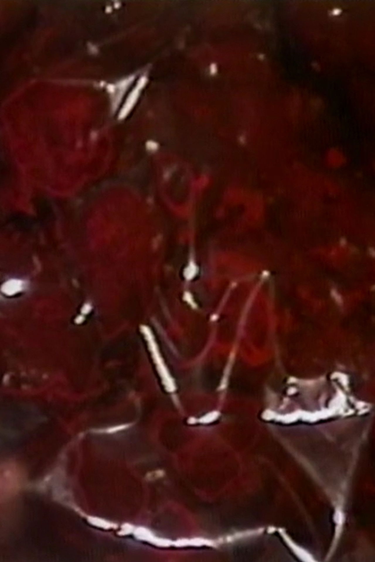 The Negotiating Table Backdrop