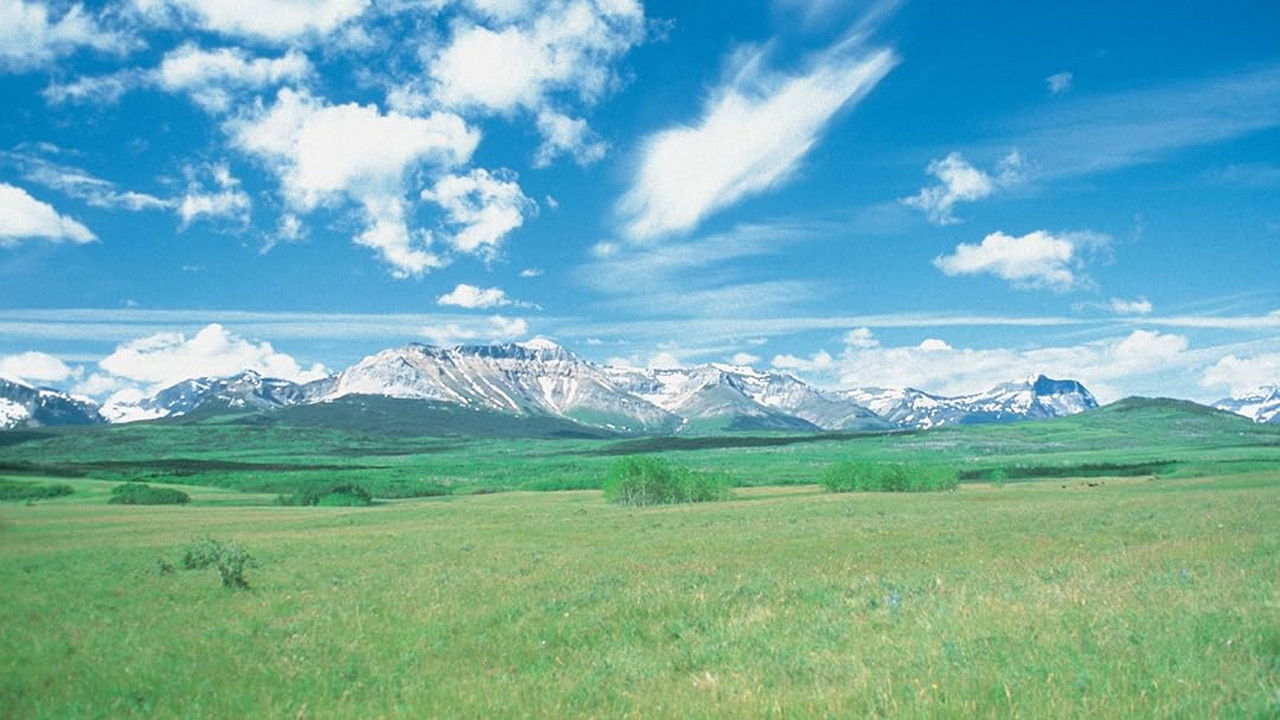 Wind, Grass, and Sky: A Passion for Prairie