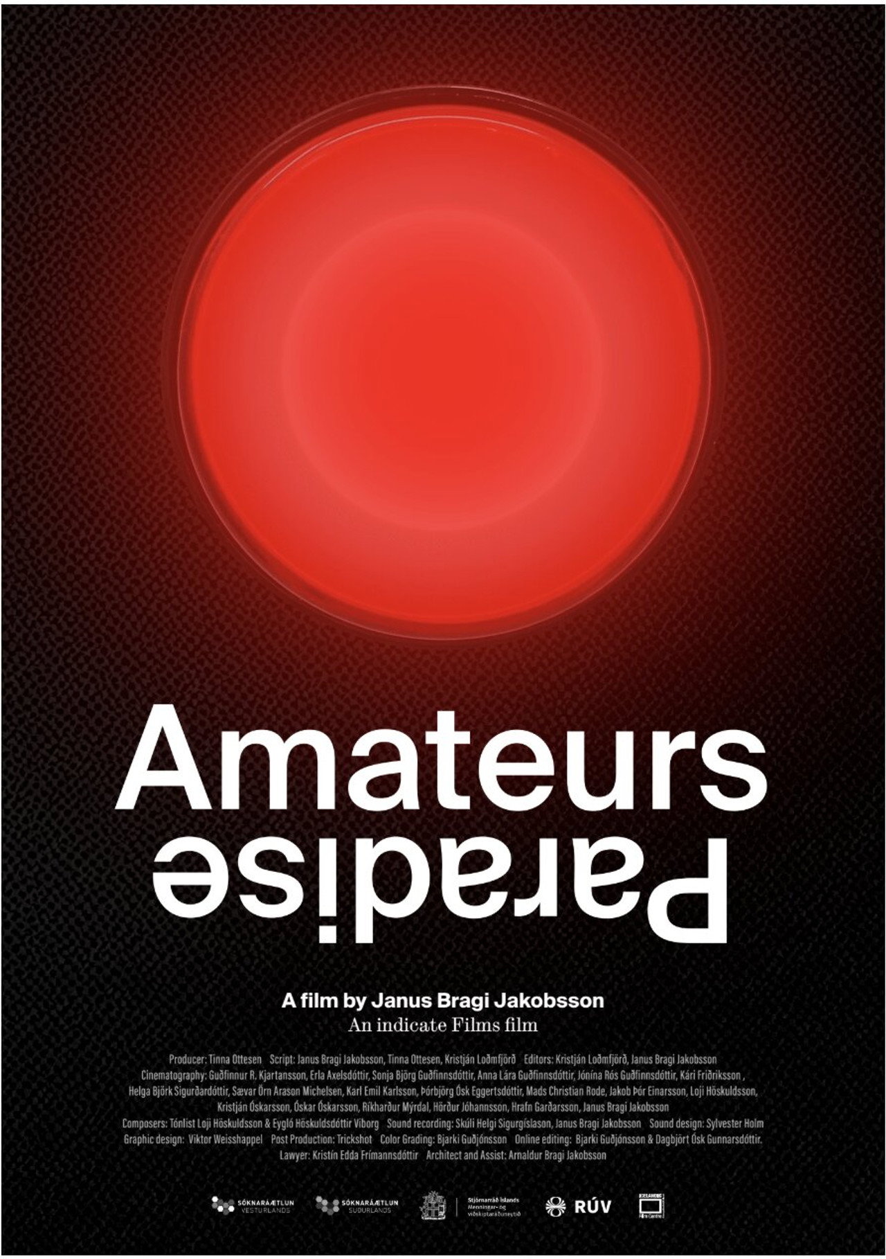 Amateurs Paradise