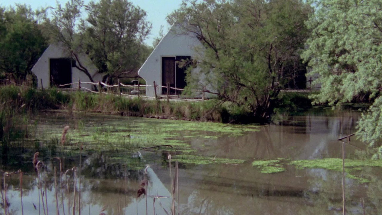 Обои к фильму «Сияющий секс (1976)» — (28 из 38)