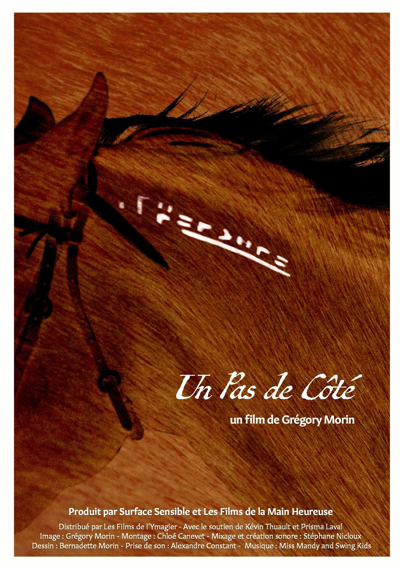 Un Pas De Côté filmaffisch