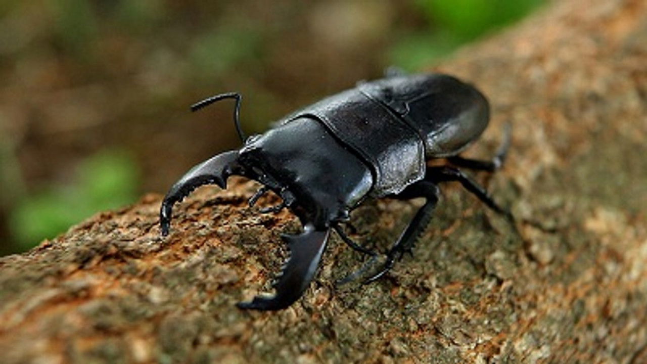 DESIGN TALKS plus — Épisode 17