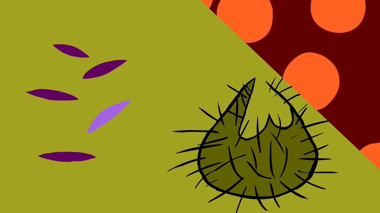 title image