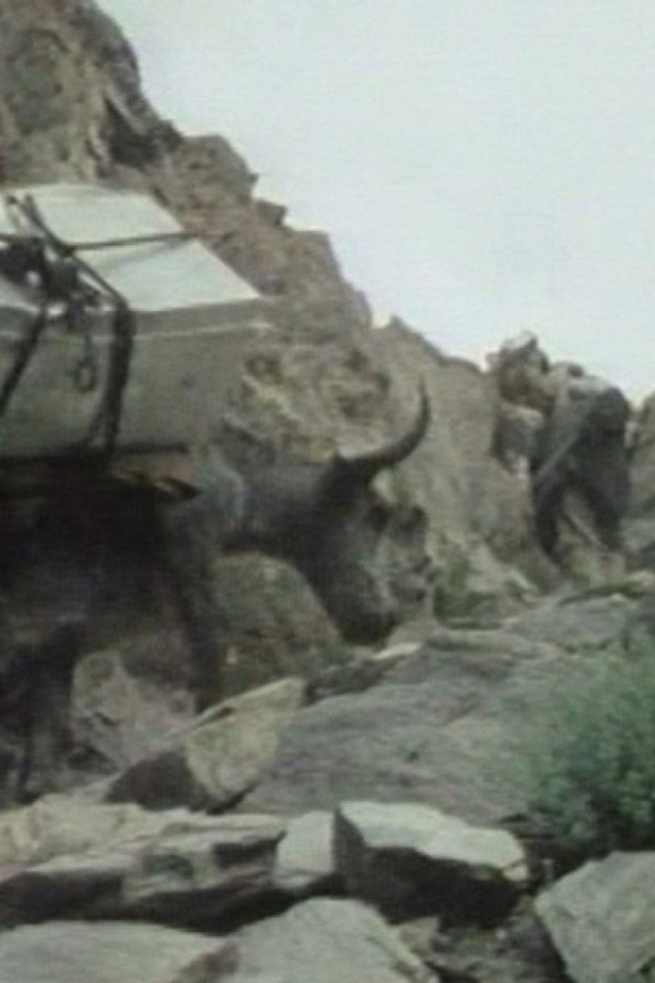 The Kirghiz of Afghanistan filmaffisch