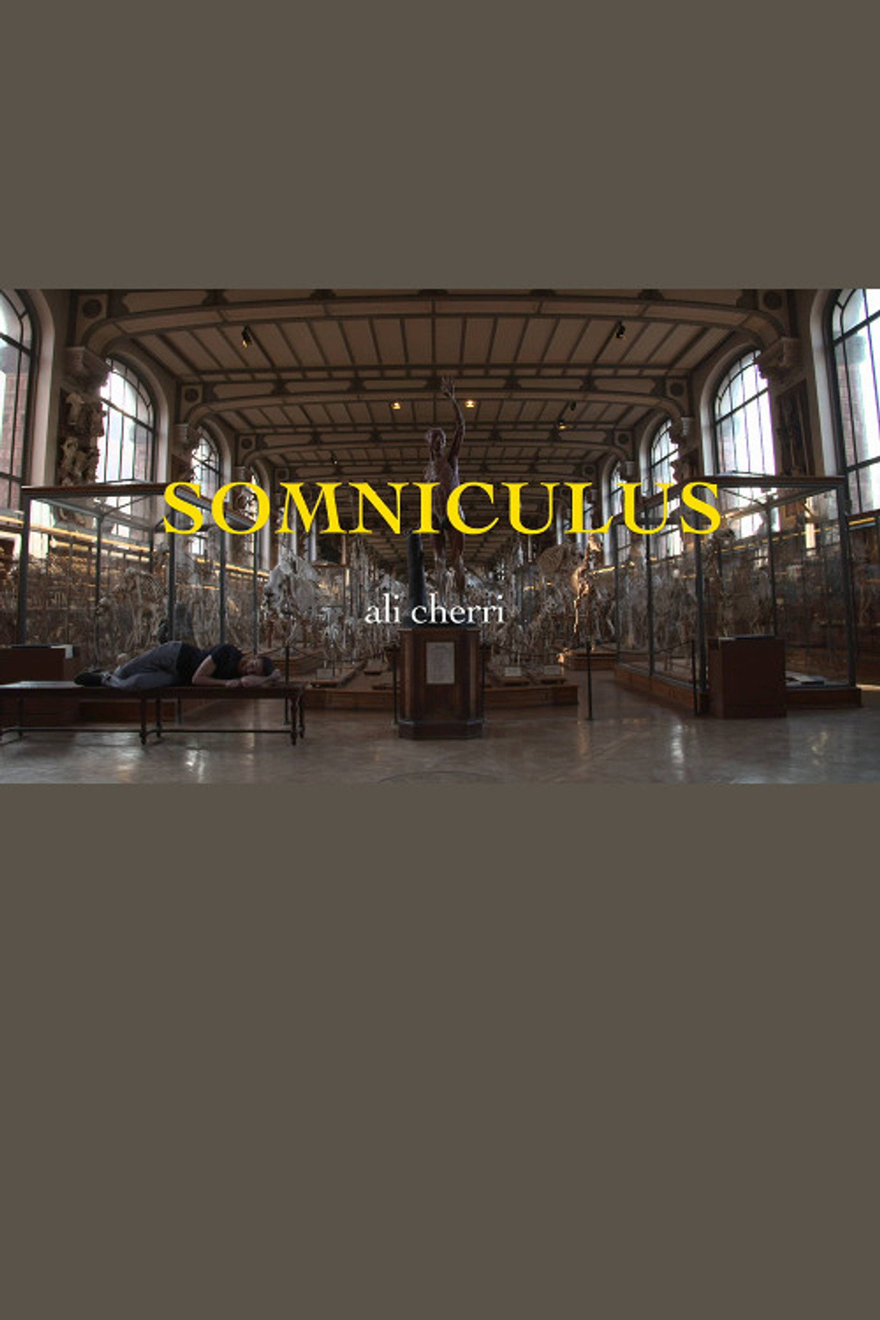 Somniculus filmaffisch