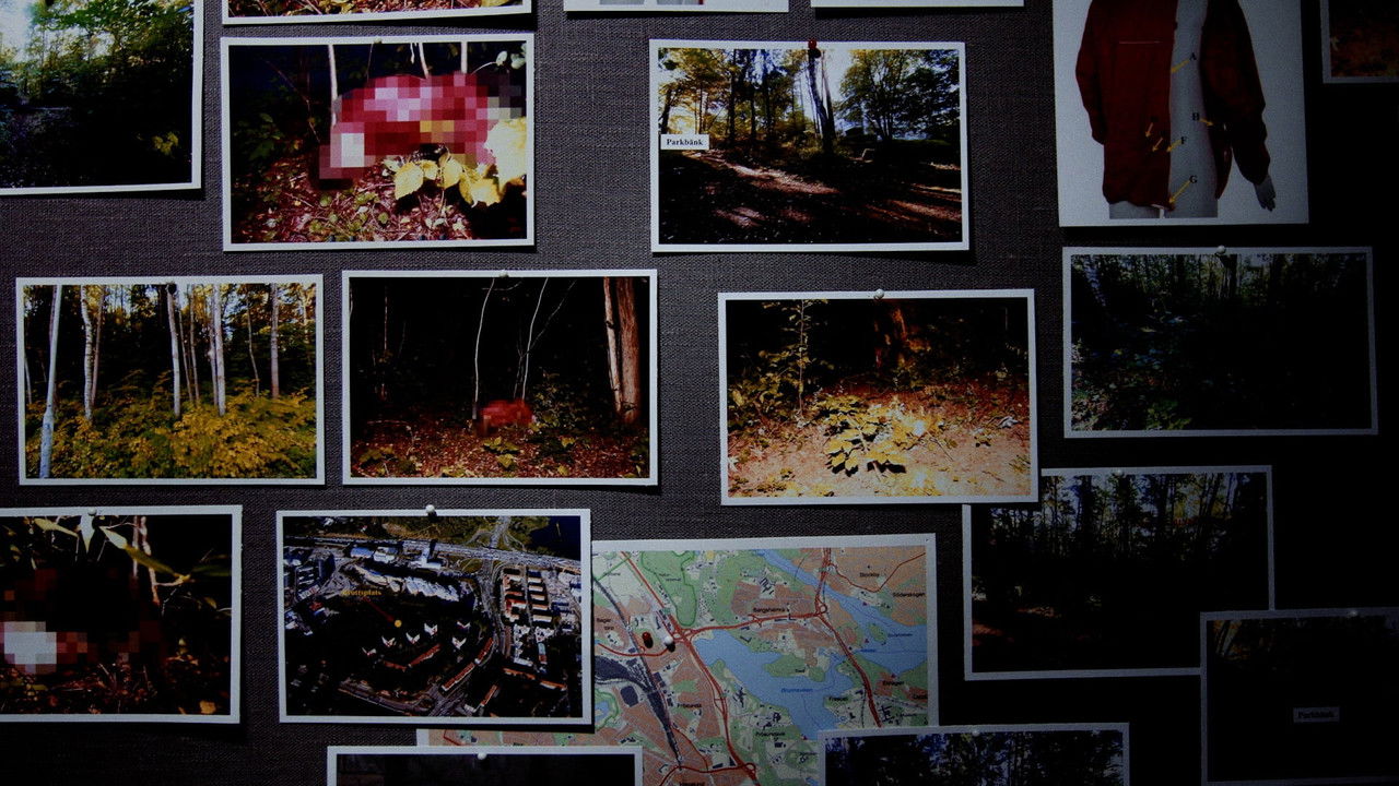 Svenska fall — Épisode 8