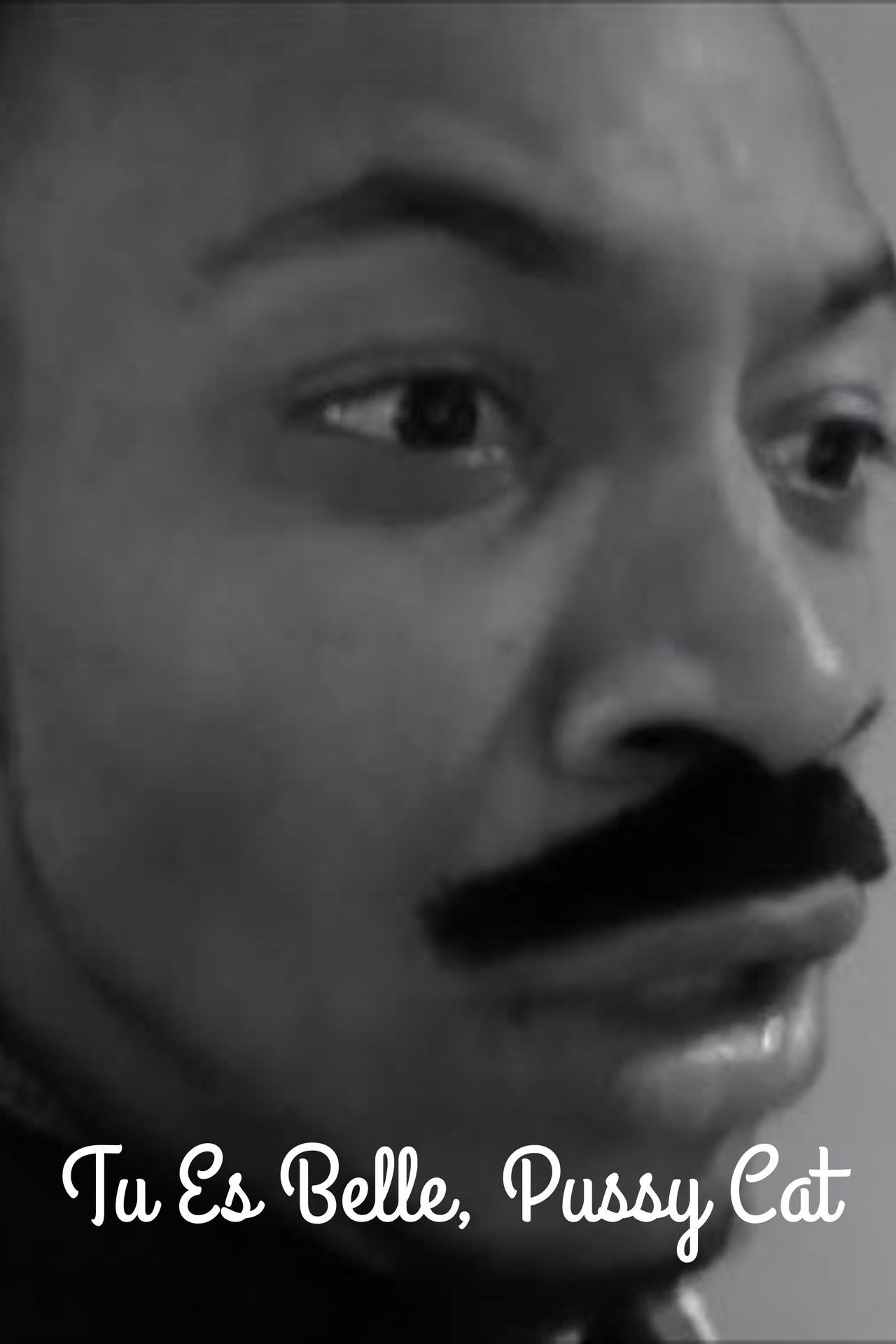Tu Es Belle, Pussy Cat