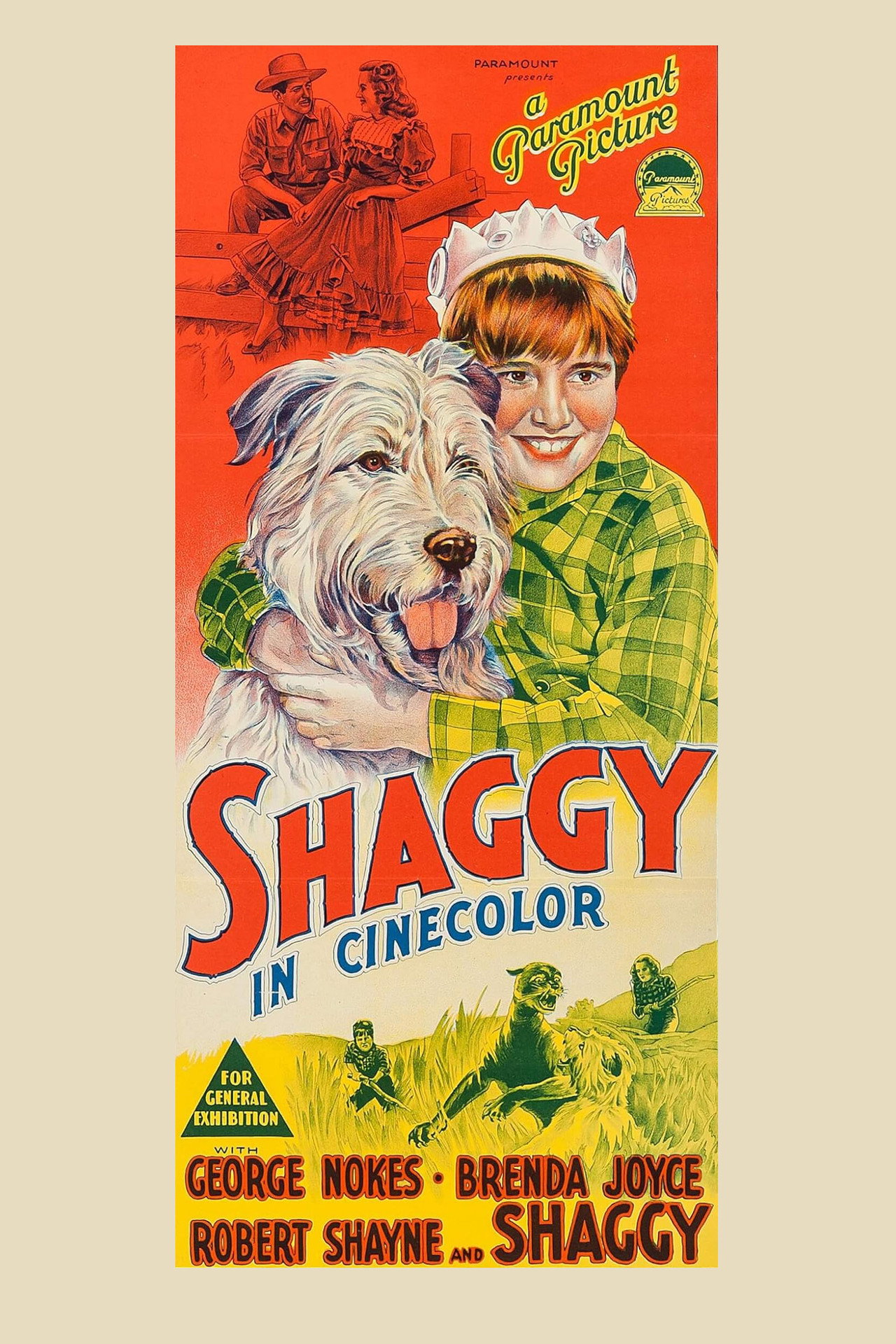 Shaggy