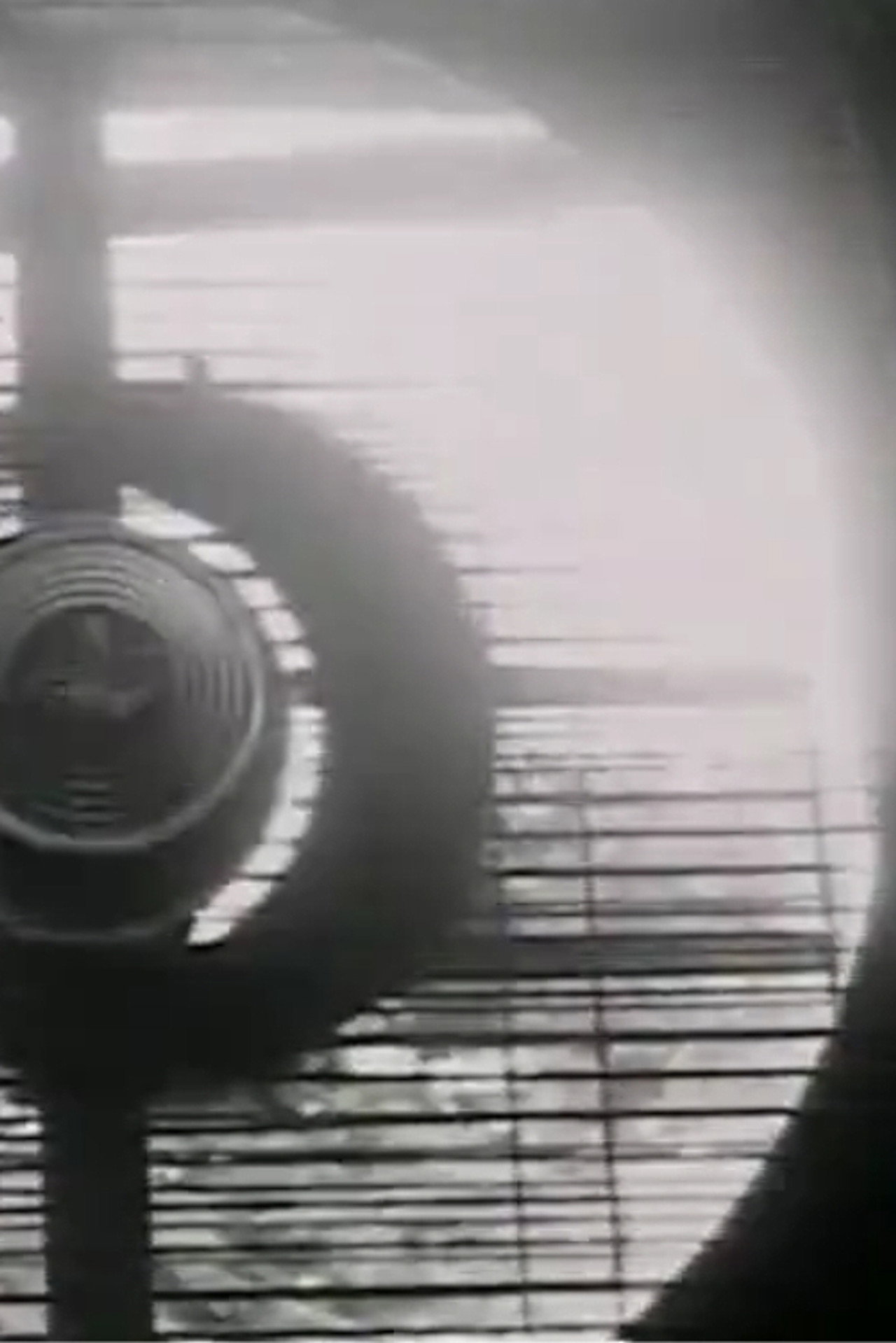 Numen Lumen filmaffisch