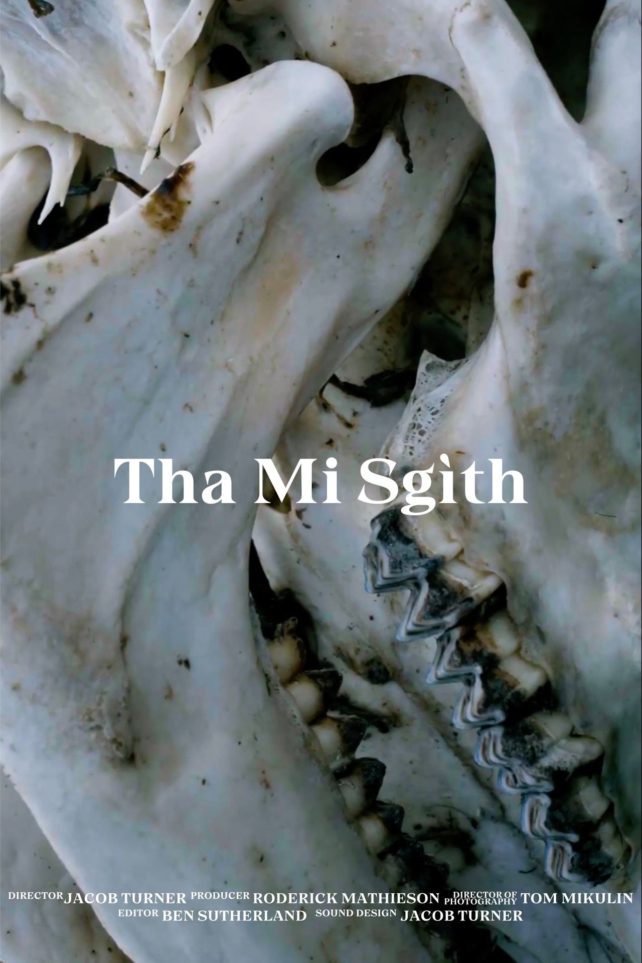 Tha Mi Sgìth poster
