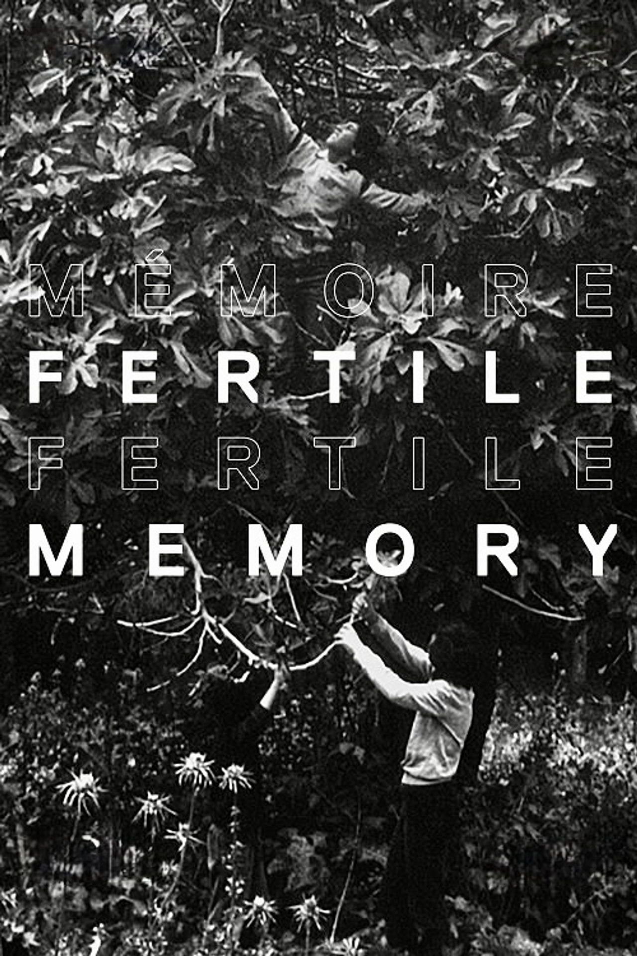 Fertile Memory poster