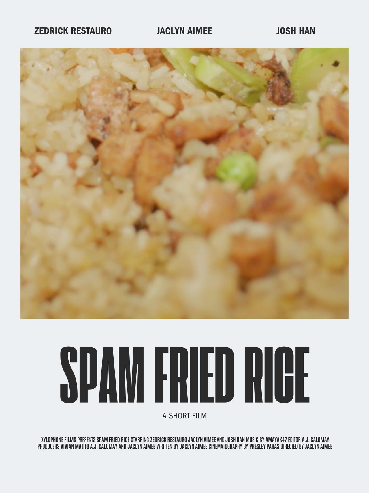 Spam Fried Rice Backdrop