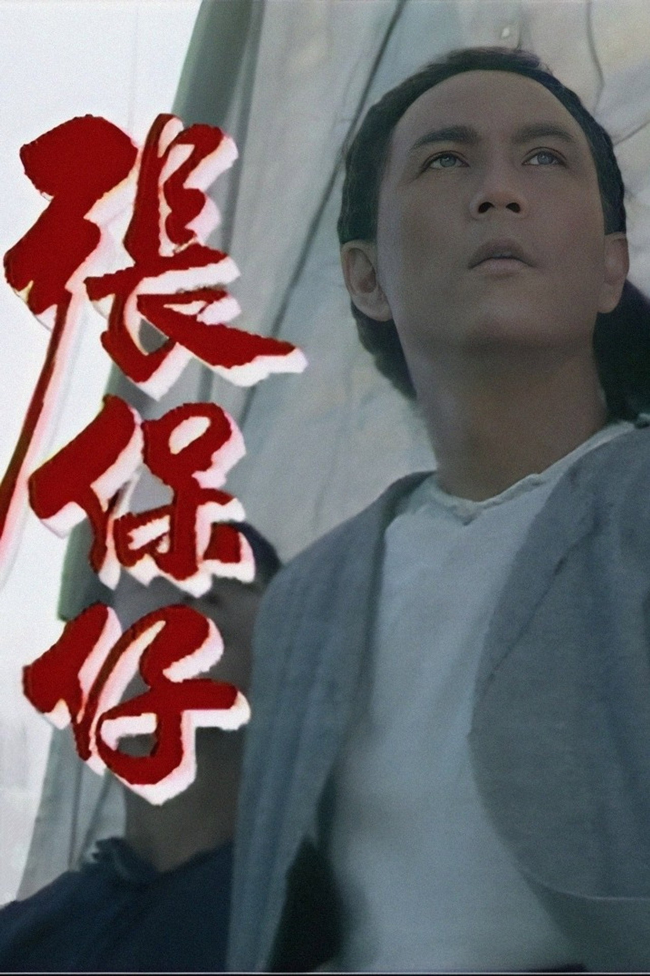 張保仔 affisch